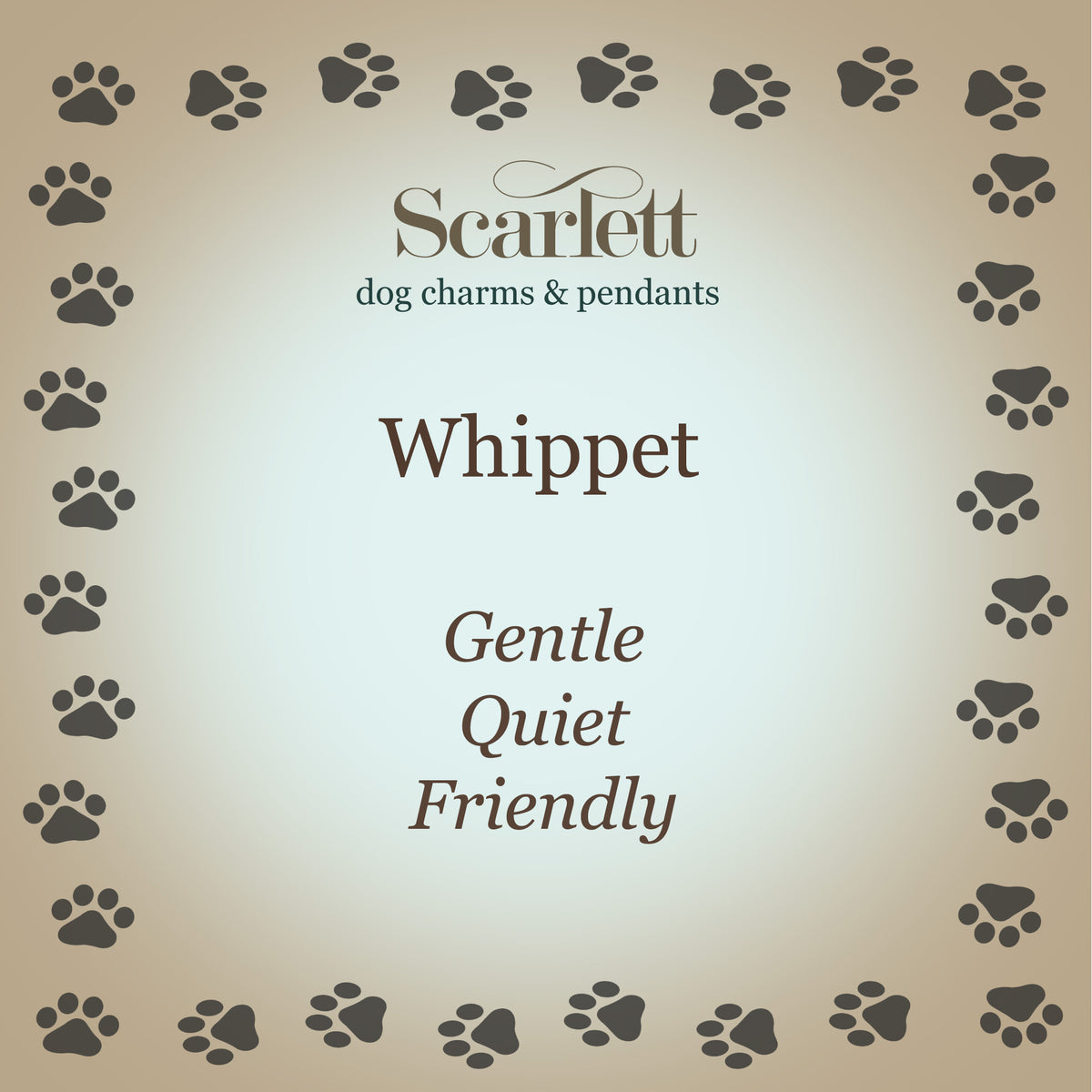whippet personality traits 