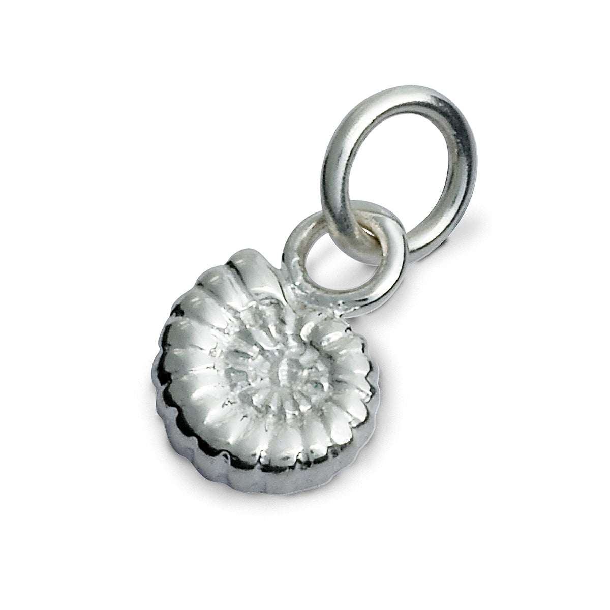 Ammonite Fossil Silver Charm Scarlett Jewellery