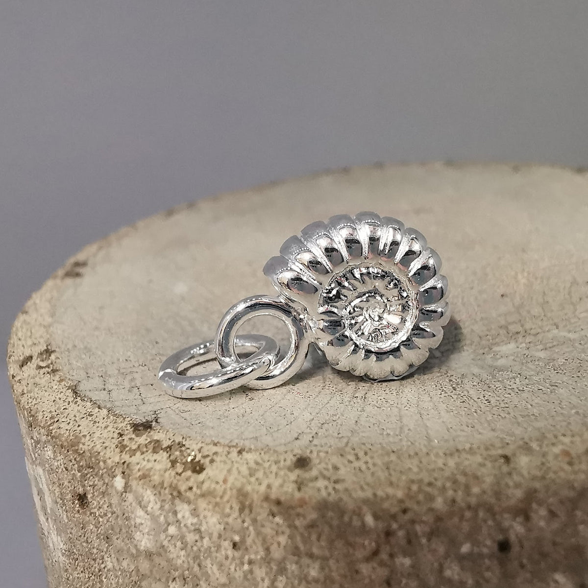 sterling silver ammonite shaped charm scarlett jewellery