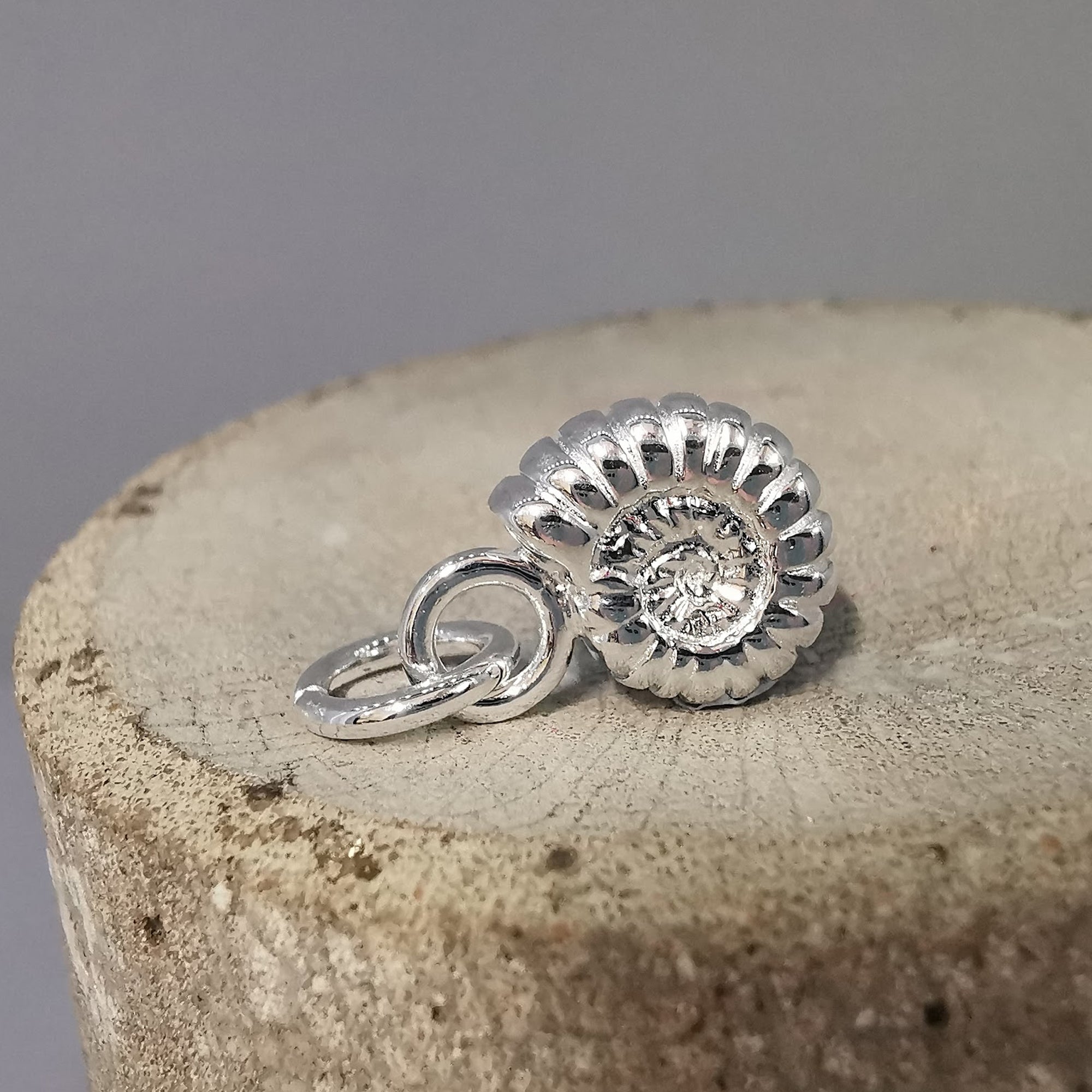 Ammonite Fossil Silver Charm Scarlett Jewellery