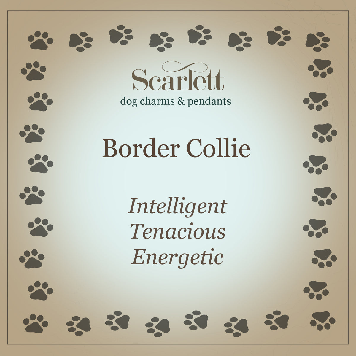 Border Collie Solid Gold Dog Charm