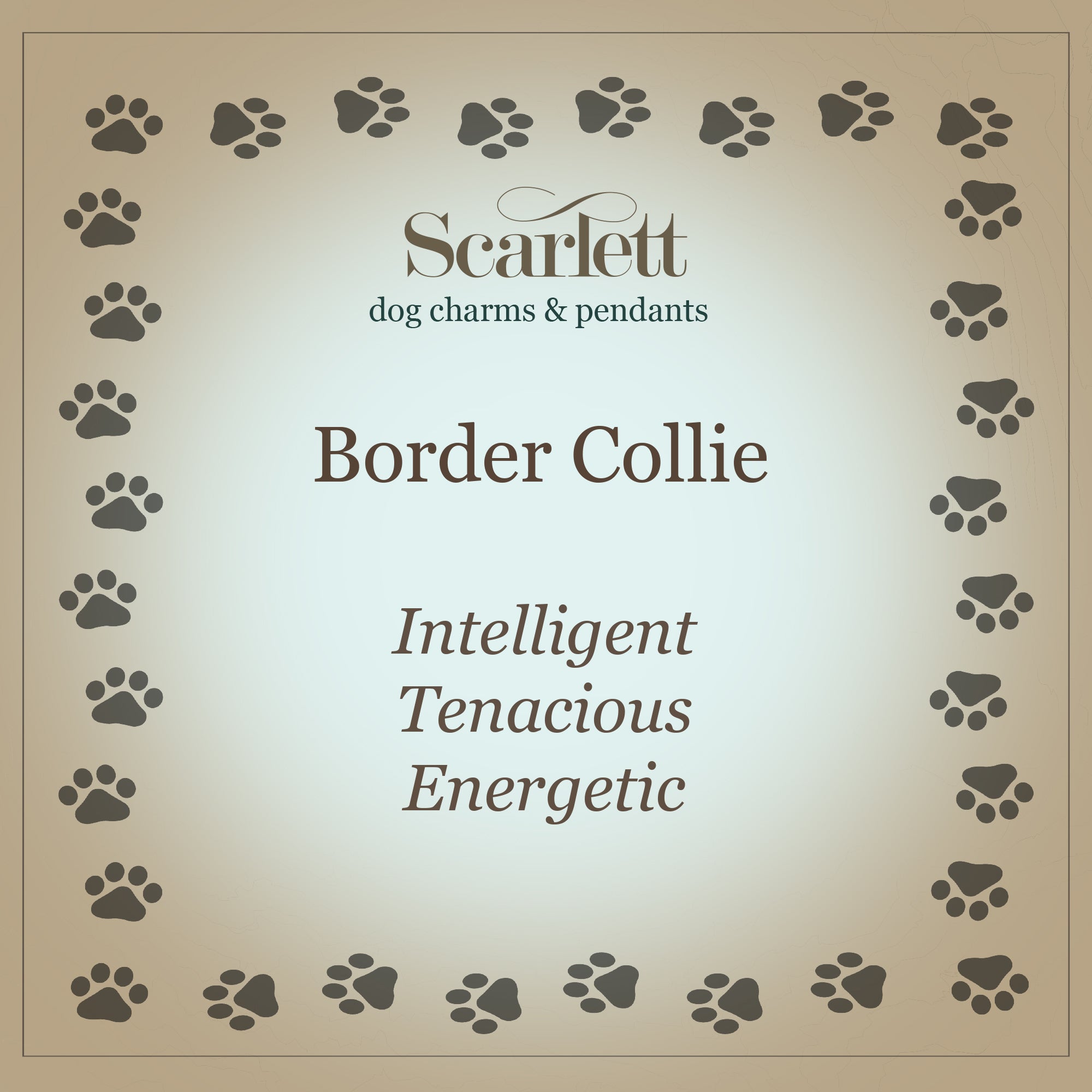 Border Collie Silver Dog Charm