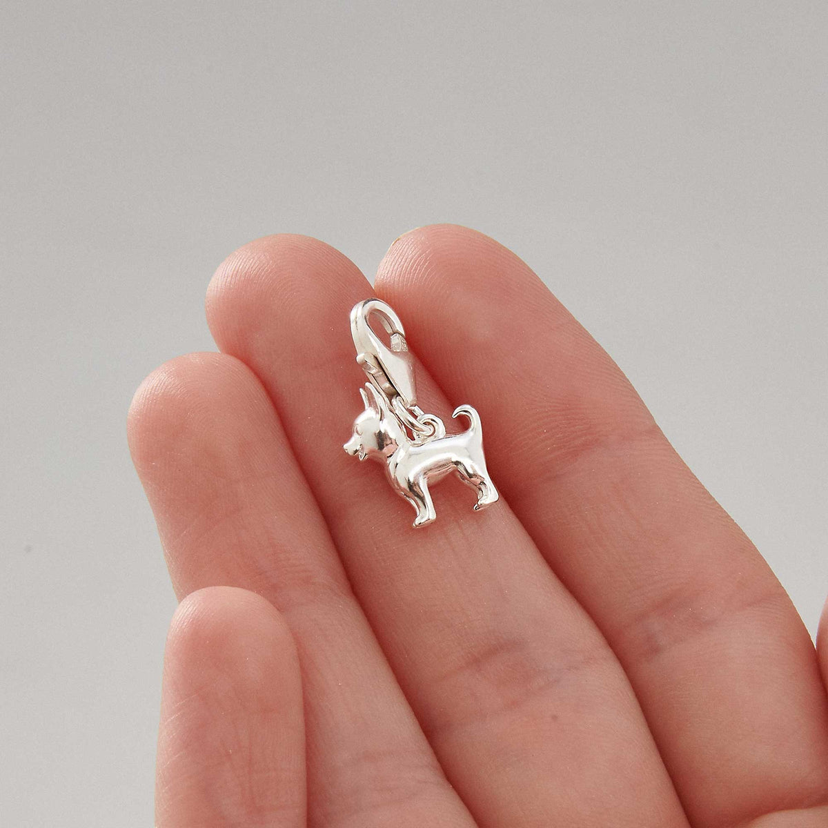 Chihuahua dog breed solid sterling silver dog charm for bracelet Scarlett Jewellery Ltd