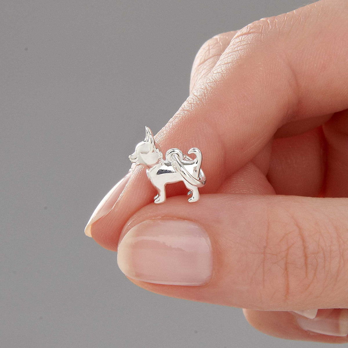 Chihuahua dog breed solid sterling silver dog charm for bracelet Scarlett Jewellery Ltd