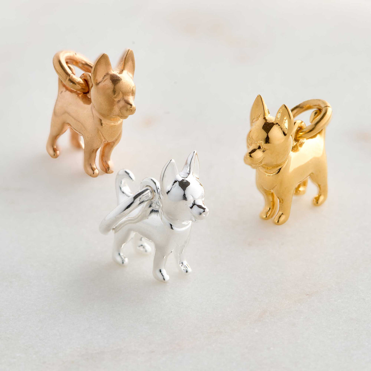 silver gold rose gold chihuahua dog charms scarlett jewellery brighton hove