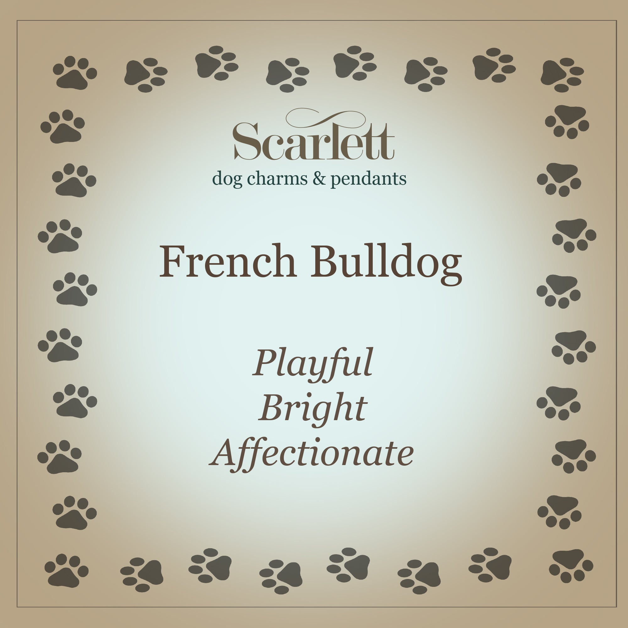 Charme de chien en argent bouledogue français