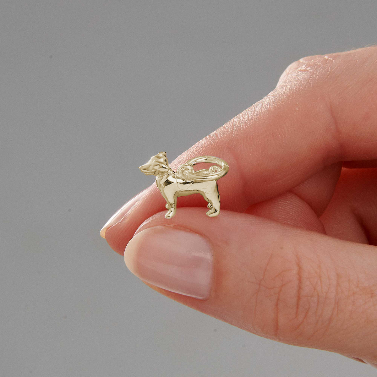 solid gold jack russell bracelet charm 9k 9ct gold dog charms scarlett jewellery