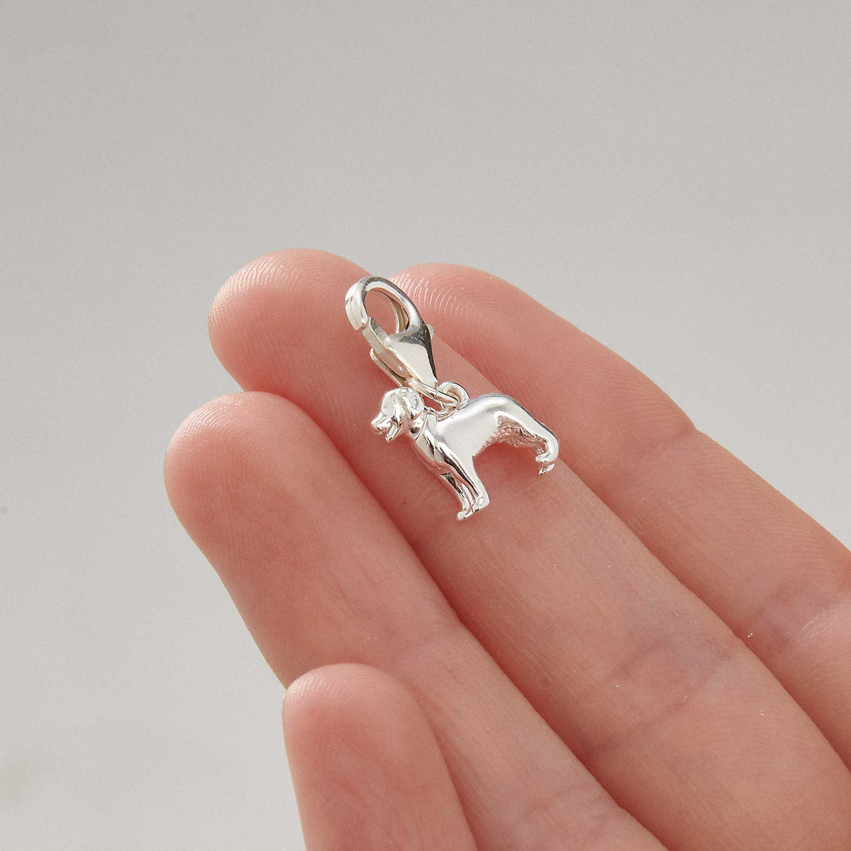 Golden Retriever small silver dog breed solid sterling silver dog charm with clip on clasp Scarlett Jewellery Ltd
