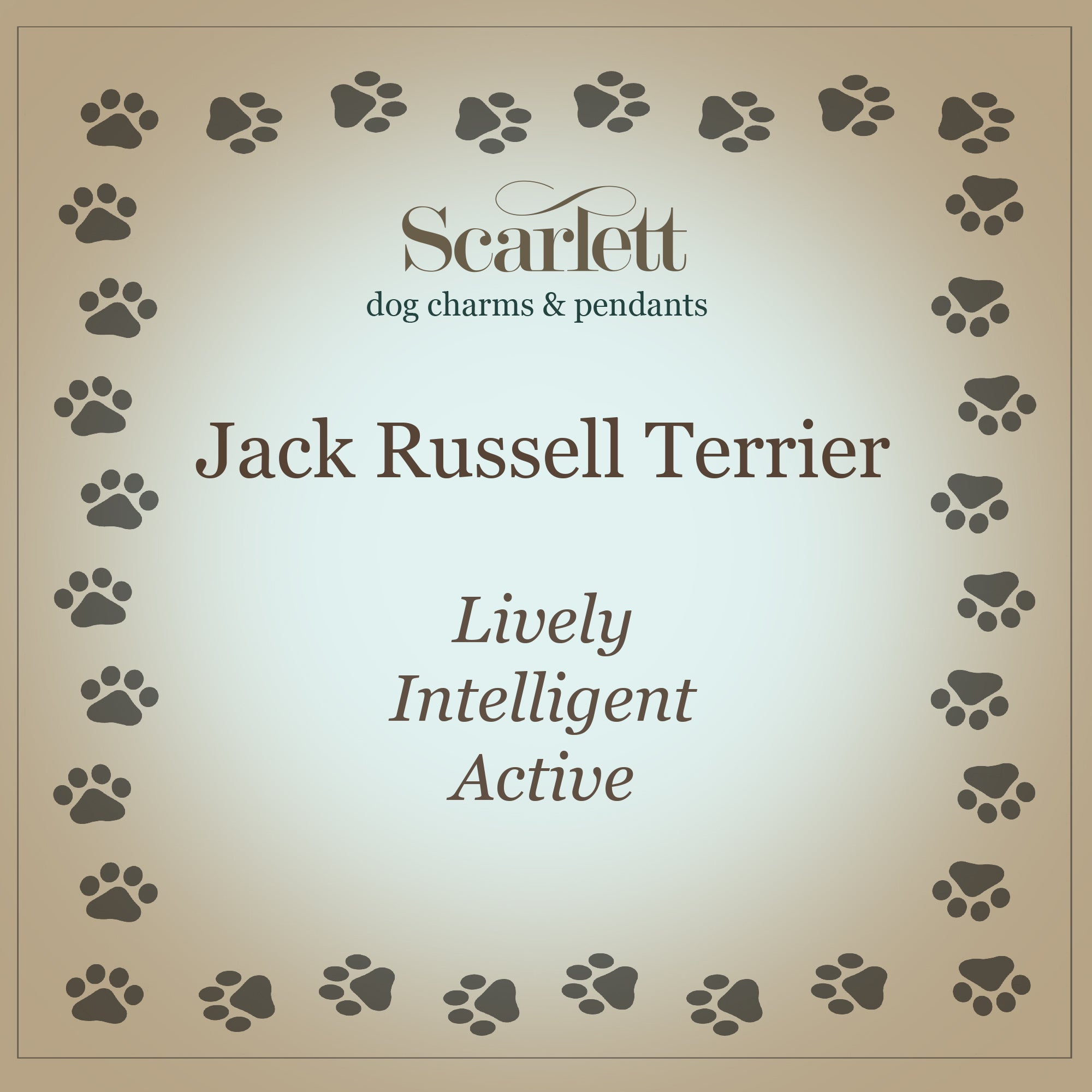 Charme de chien en argent Jack Russell Terrier