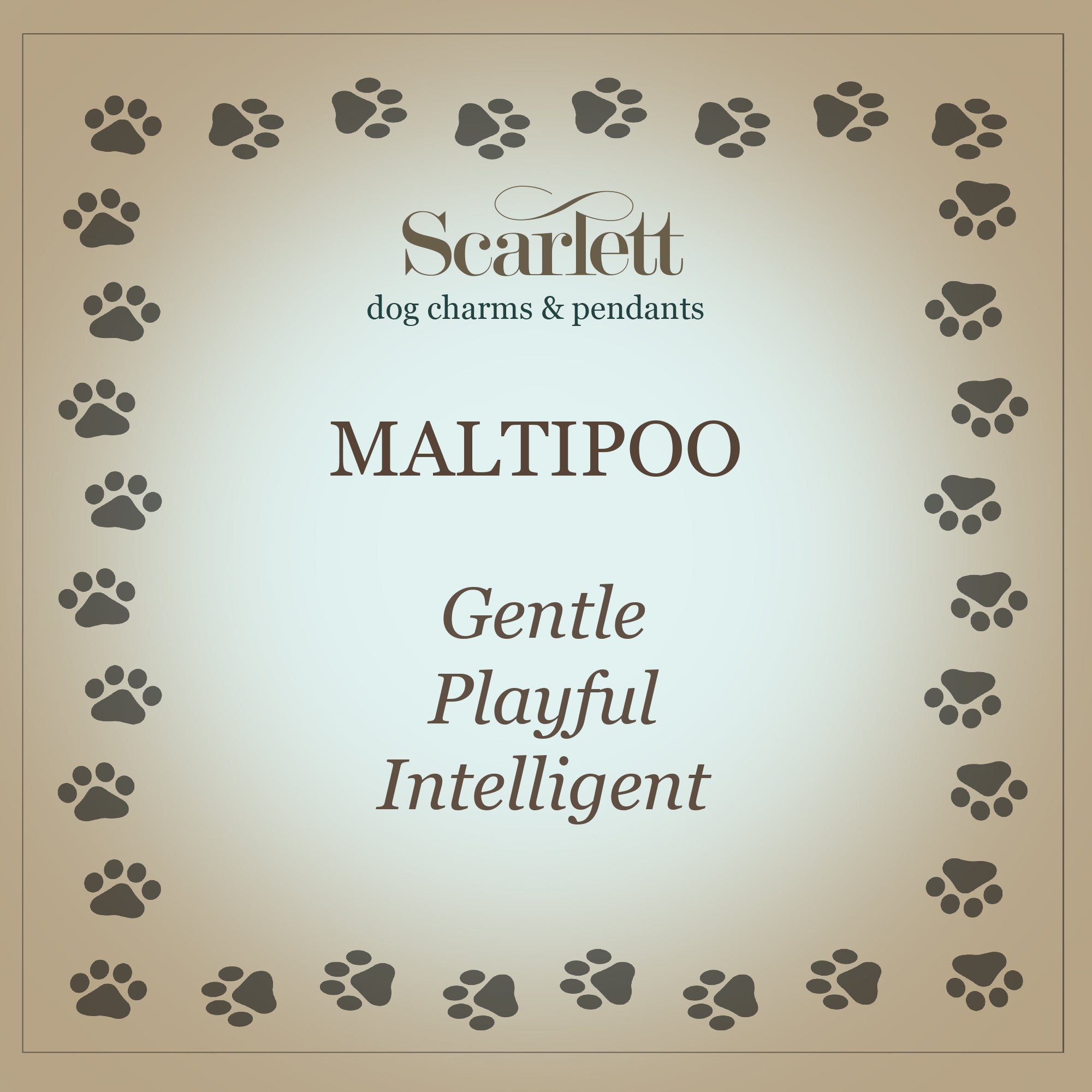 Maltipoo mixed breed sterling silver dog charm for bracelet Scarlett Jewellery Ltd