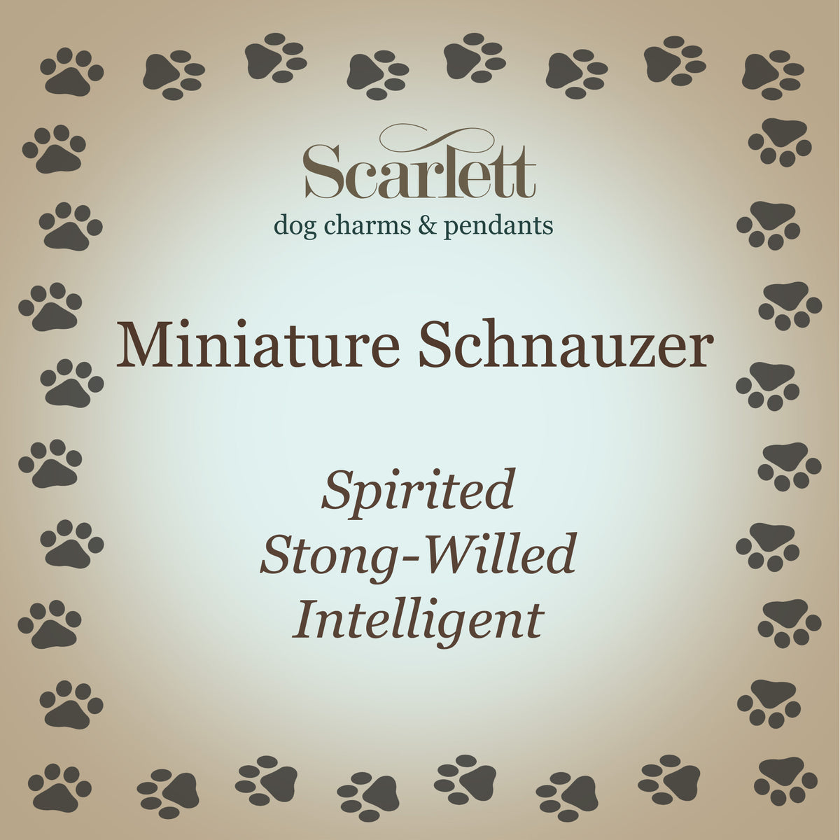 Collier d’étiquette de chien en argent personnalisé Schauzer miniature