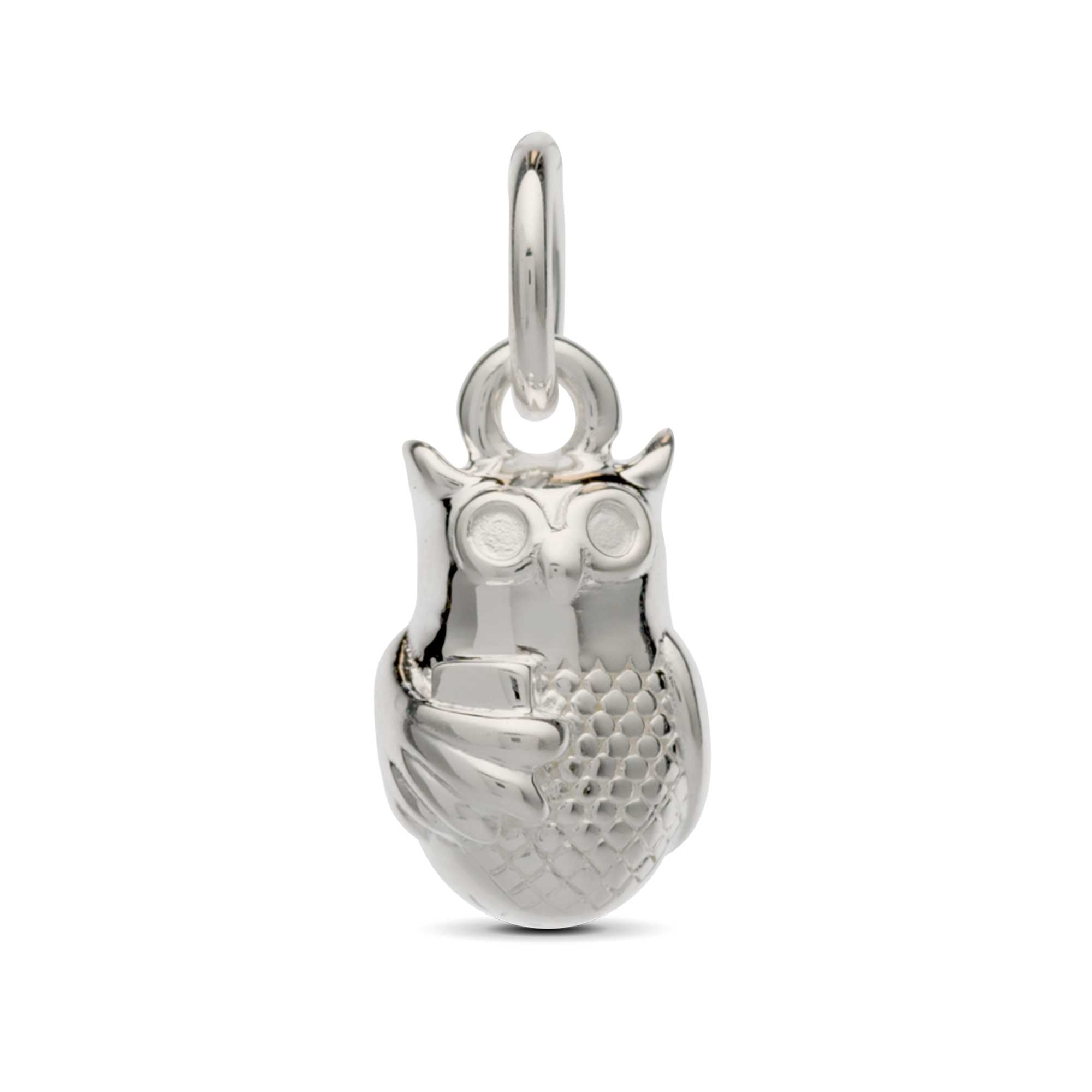 silver owl charm with book gift for passing exams graduation scarlett jewellery