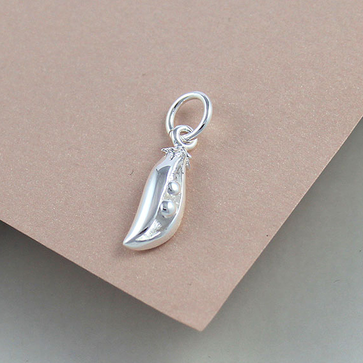 Two Peas In A Pod Twins Sisters Best Friends Sterling Silver Necklace or Bracelet Charm
