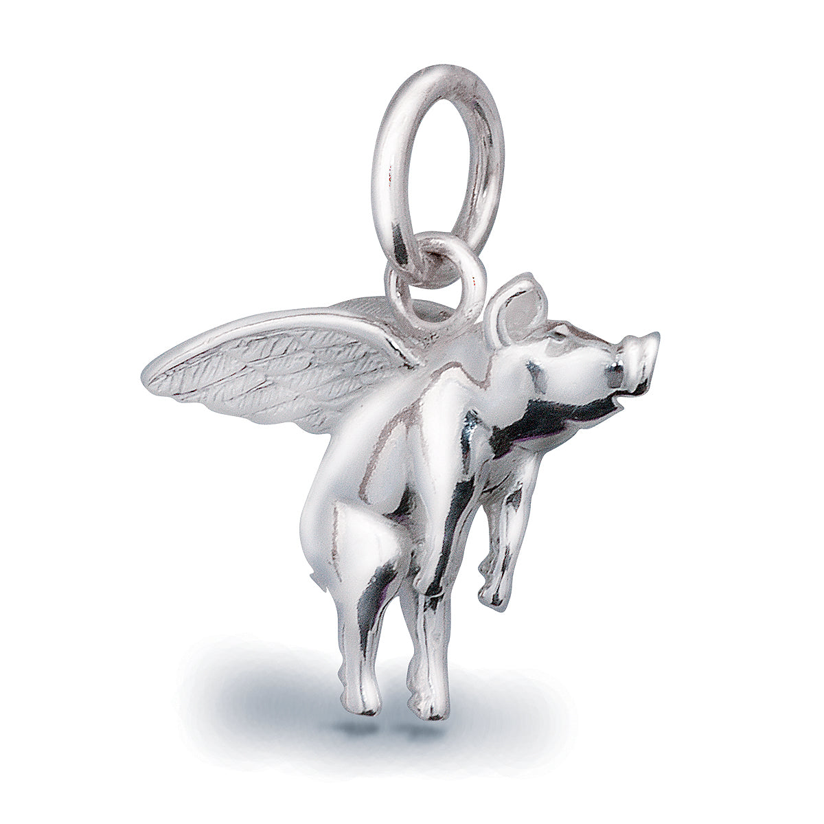 Pigs Might Fly Silver Charm