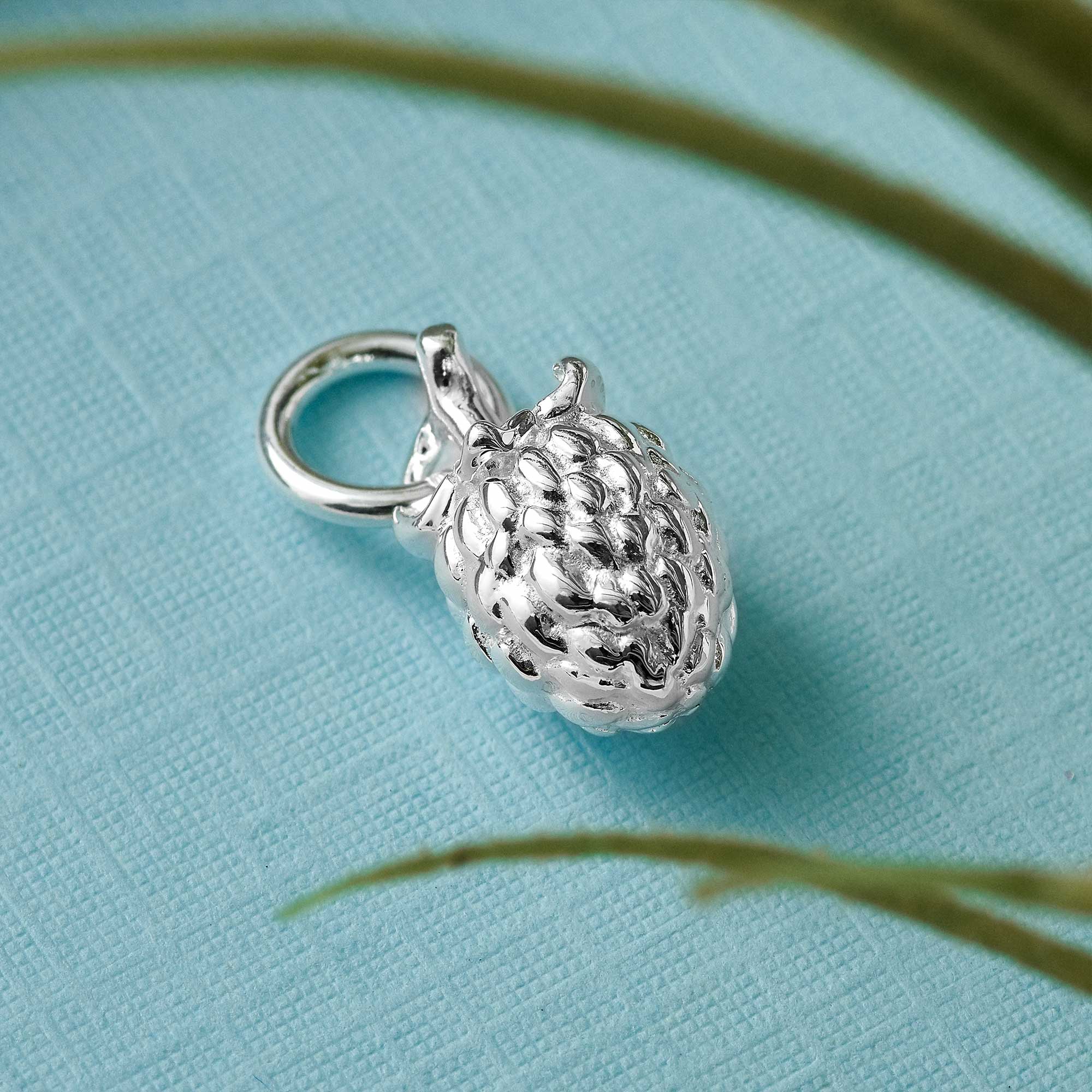 raspberry fruit silver charm meaning symbolising kindness links of london style charms