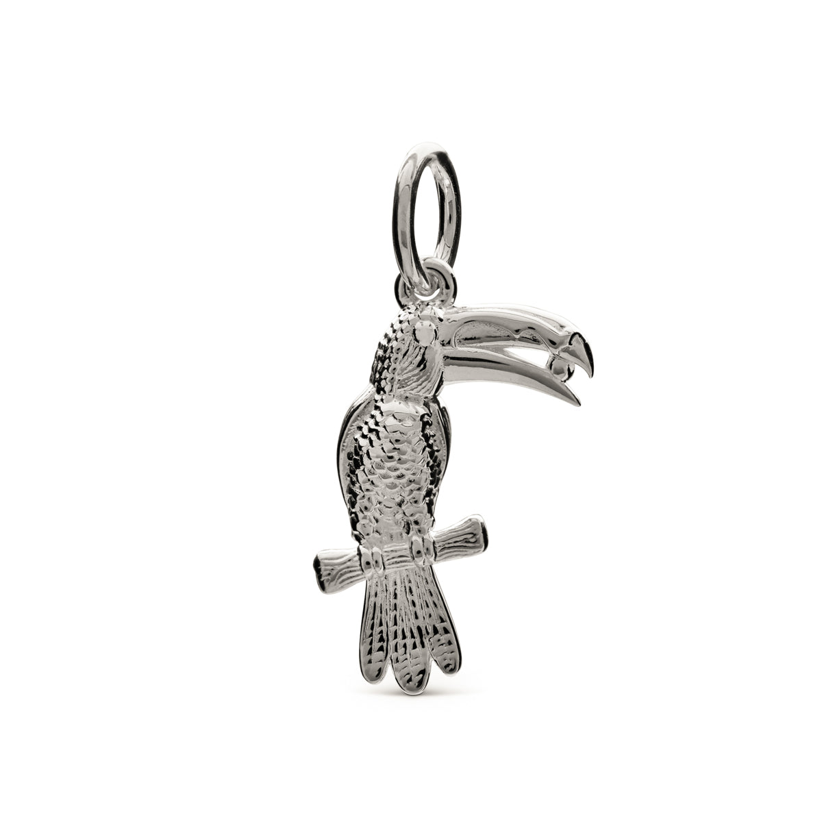 Toucan Bird Silver Charm South American Nature Charm